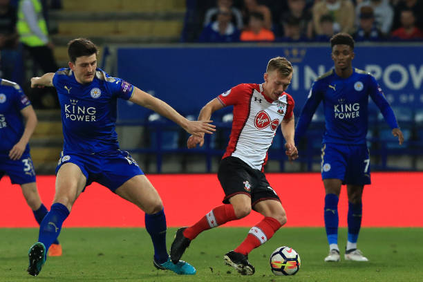 塞鸟奥斯卡 塞鸟奥斯卡